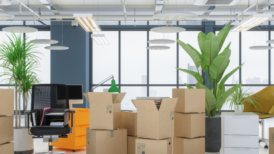 So Your Company is Moving?