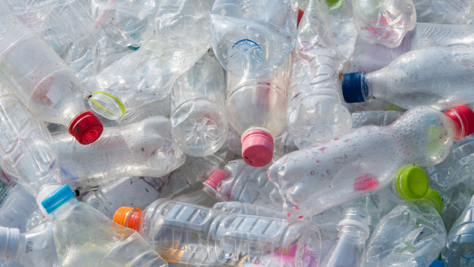 Plastic Bottle Waste