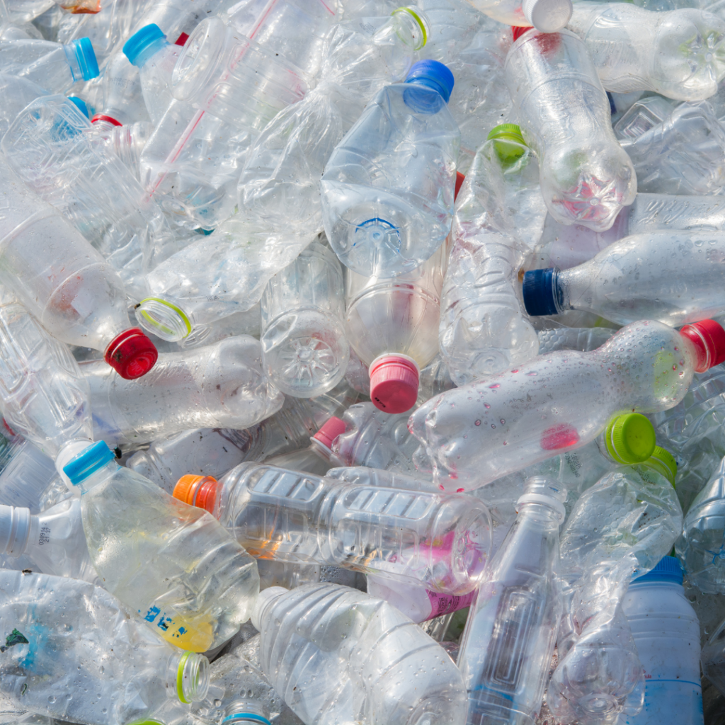 Plastic Bottle Waste